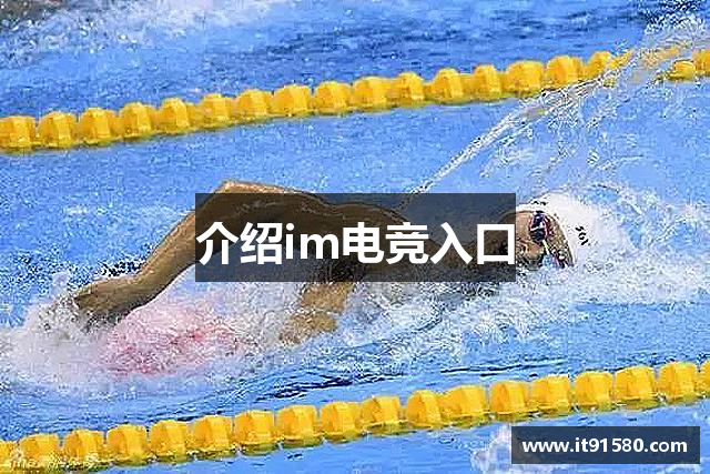 介绍im电竞入口